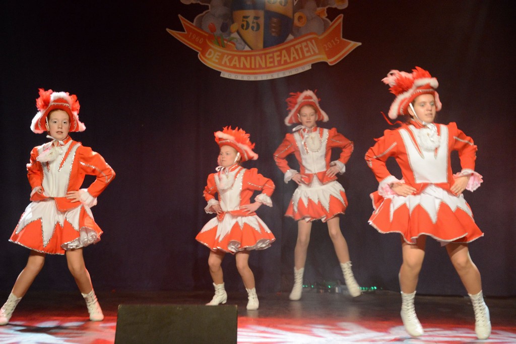 ../Images/Dansmarieke festival 2015 205.jpg